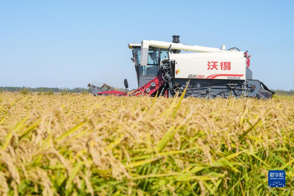 游戏中心正版下载